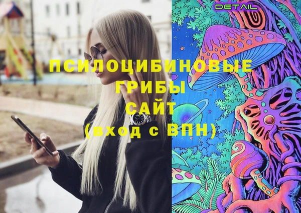 стафф Пересвет
