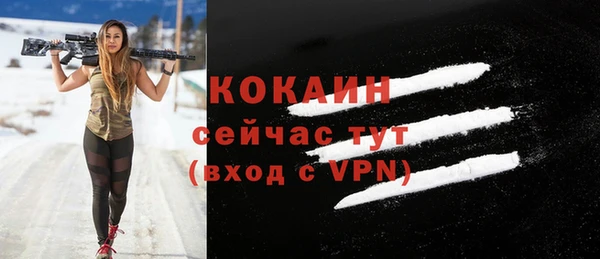 дурь Переславль-Залесский