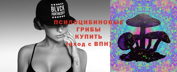 дурь Переславль-Залесский