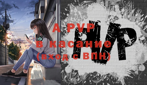 дурь Переславль-Залесский