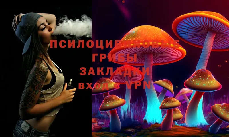 Галлюциногенные грибы Psilocybe  Котельники 