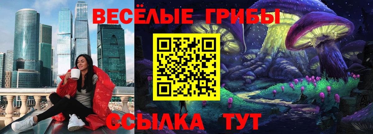 Галлюциногенные грибы Котельники