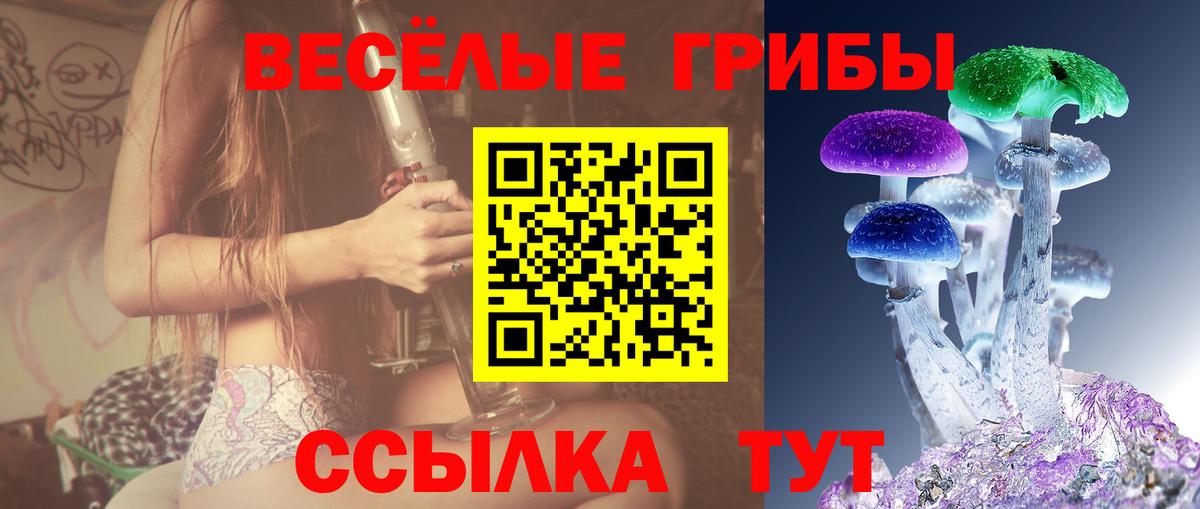 Псилоцибиновые грибы мицелий Котельники